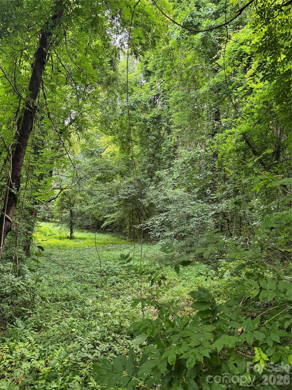 Property Photo: 2874 Huffman Road NC 28645