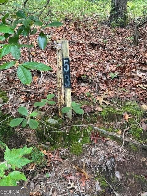 Property Photo:  10.96 Ac Paramount Trail  GA 30536 