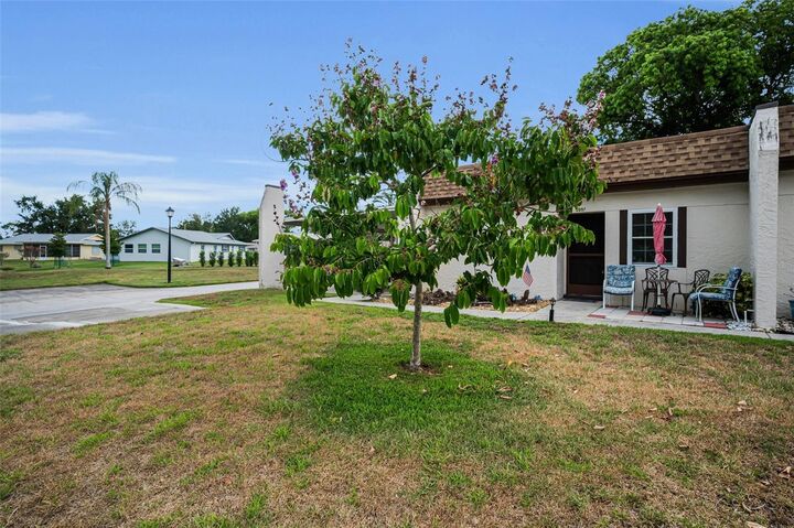 Property Photo: 3097 Mission Grove Drive FL 34684
