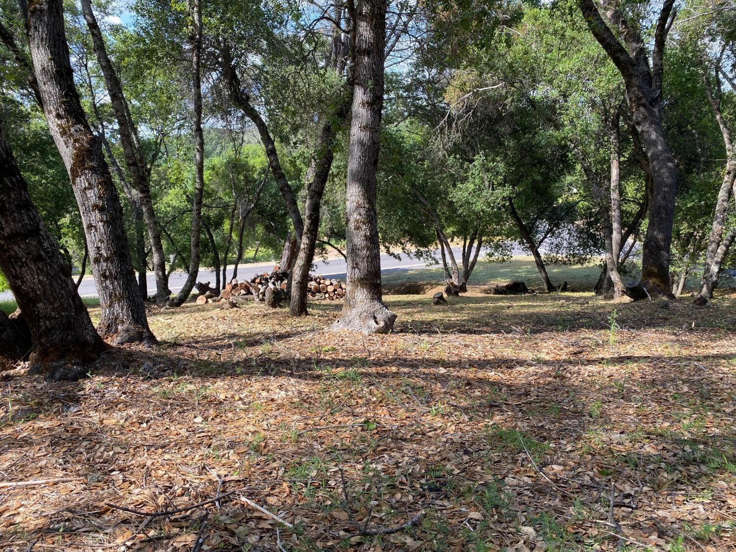 Property Photo:  315 Mill Court  CA 95222 