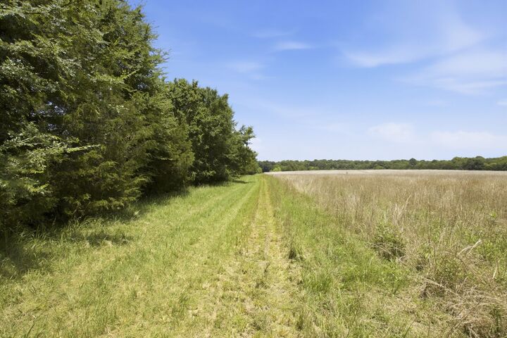 Property Photo: 0 Bethlehem Church Road TN 37160