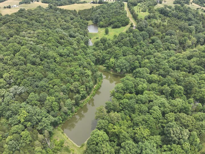 Property Photo:  0 Pea Ridge Road  KY 41004 