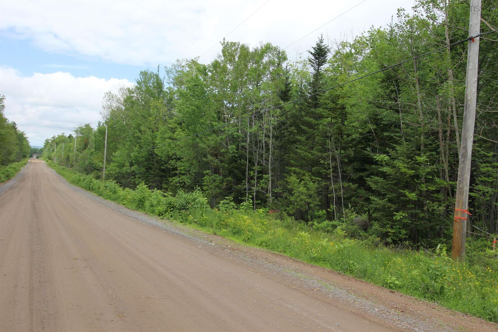 Property Photo:  Crocker Rd Harmony Land  NS B0P 1C0 