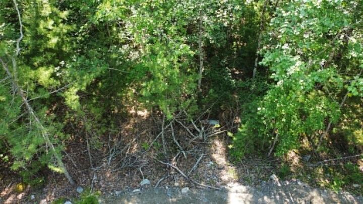 Property Photo:  Lot 13 Jordan Branch Road  NS B0T 1W0 