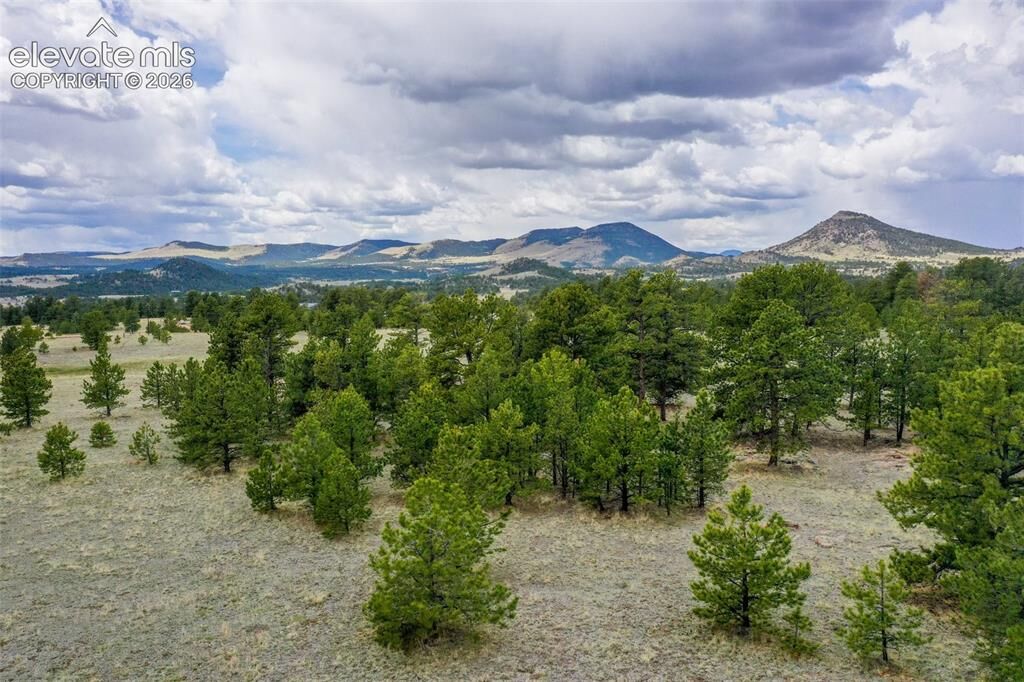 Property Photo: Tbd Doe Valley Road CO 80820