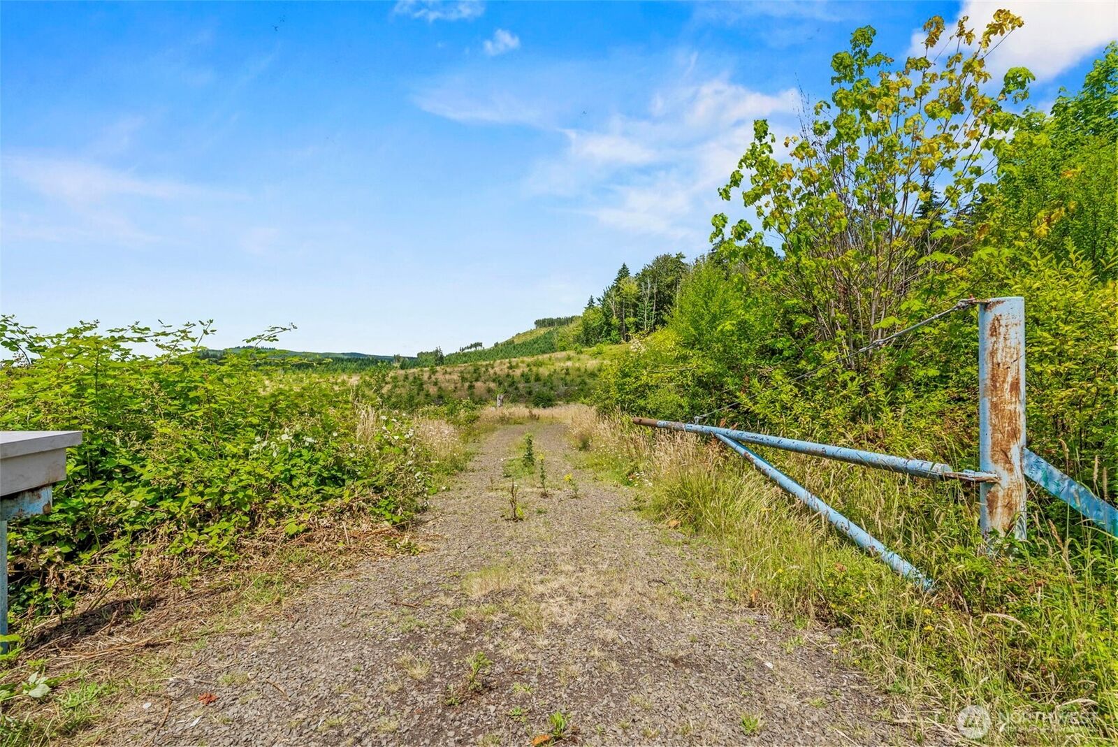 Property Photo:  0 Lot D  Holcomb Road  WA 98632 