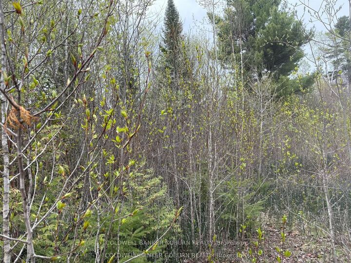 Property Photo: 2035 Ventnor Road ON K0E 1X0