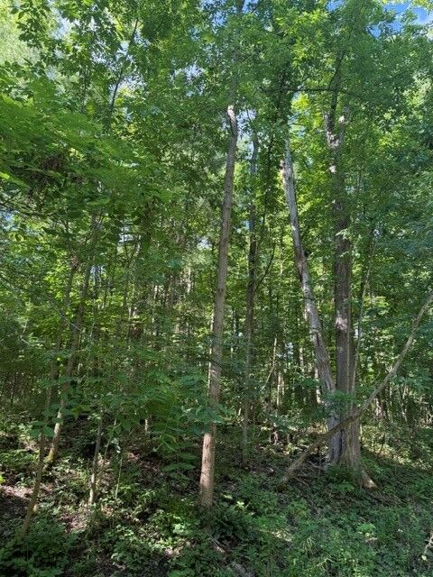 Property Photo: 0 South Glenora Road NY 14837
