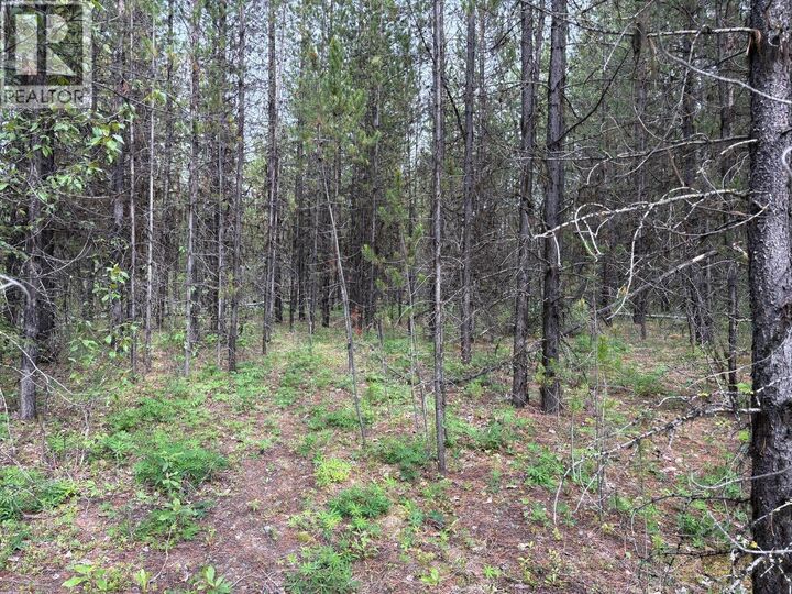 Property Photo:  Lot 3 Horse Lake Road  BC V0K 2E3 