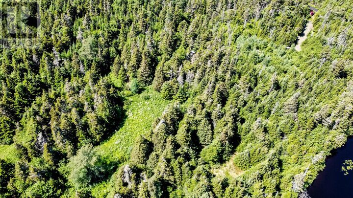 Property Photo:  8 Copperhead Road  NL A1M 2V3 