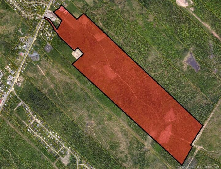 Property Photo:  447 New Maryland Highway  NB E3C 2H5 