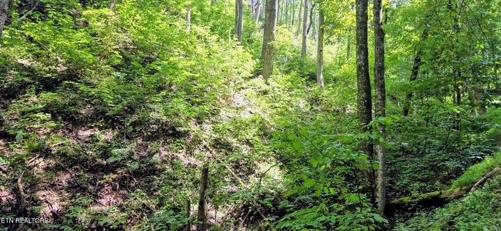 Property Photo:  Lot 15 Emerald Springs Loop  TN 37862 