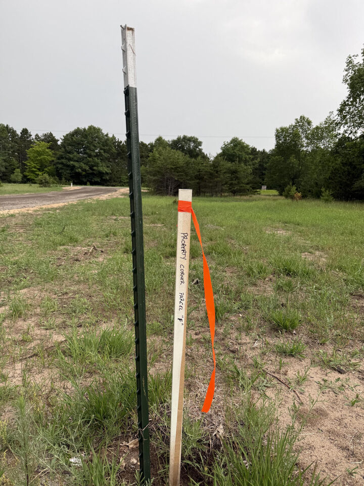 Property Photo: Sadie Ln MI 49614