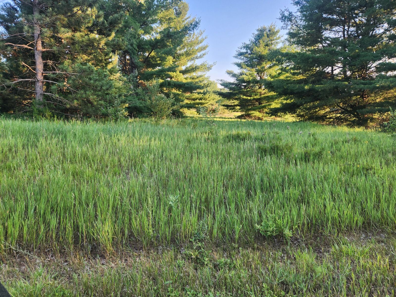 Property Photo: 11535 Pierce Road MI 49346