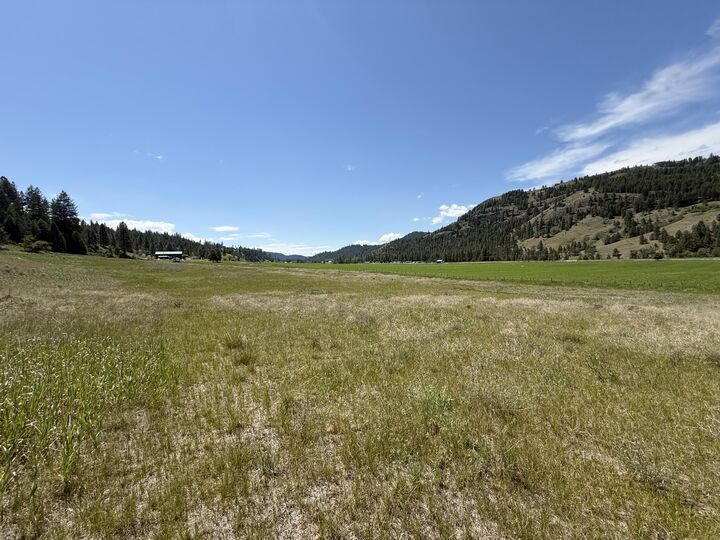 Property Photo:  Tbd Art Creek Rd  WA 99150 