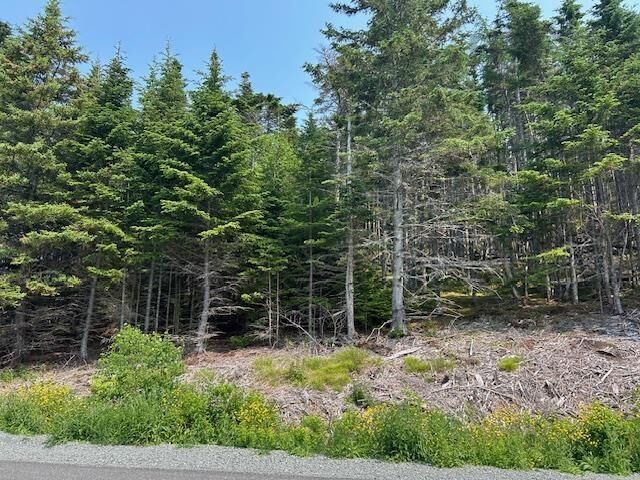 Property Photo:  Soldiers Cove Road  NS B0E 3B0 
