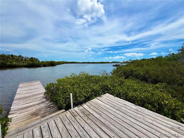 Property Photo:  1488 S Estuary Drive  FL 34429 
