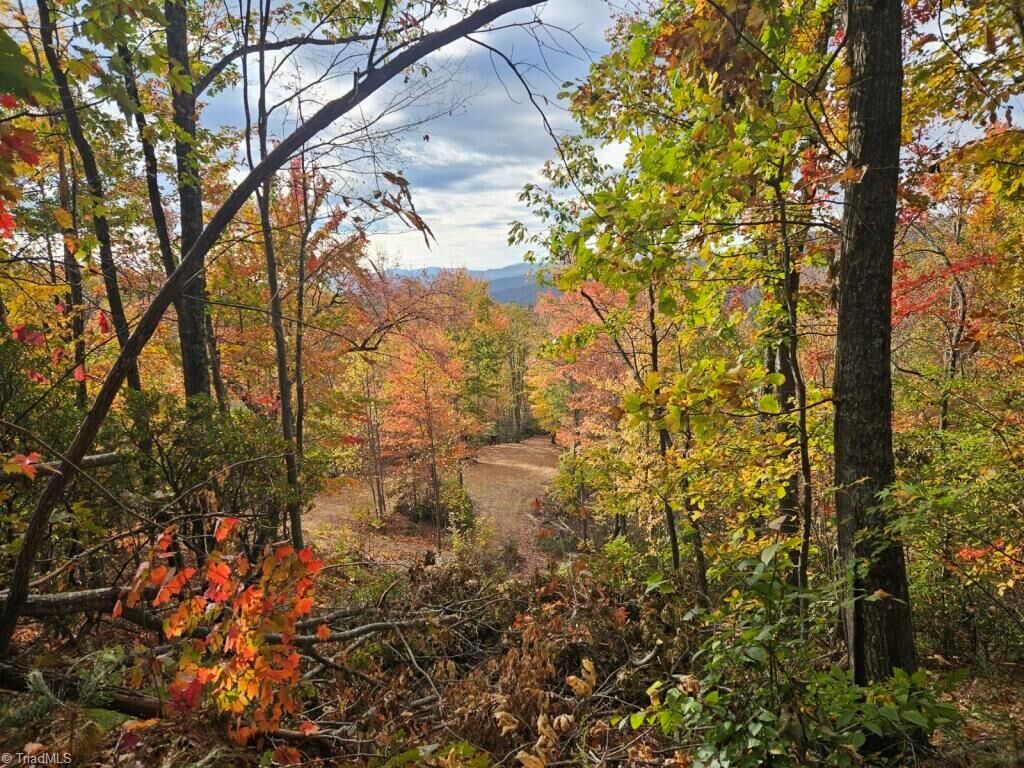 Property Photo:  0 Shell Creek Road  NC 28624 