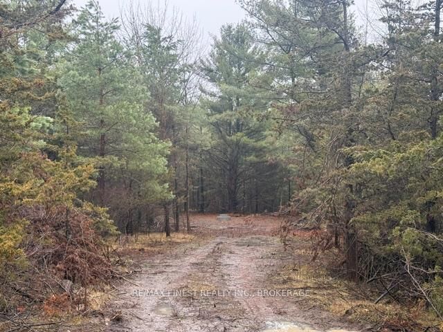 Photo de la propriété:  590 Love Road  ON K0H 2H0 