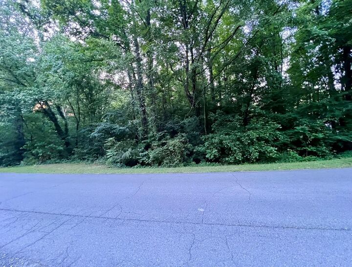 Property Photo:  Lot 60 Greenvalley Drive  GA 30740 
