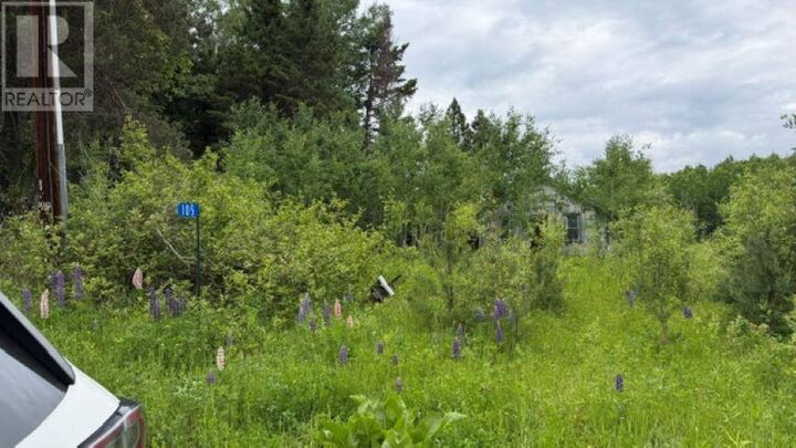 Property Photo:  105 Larson Rd  ON P7L 0A4 