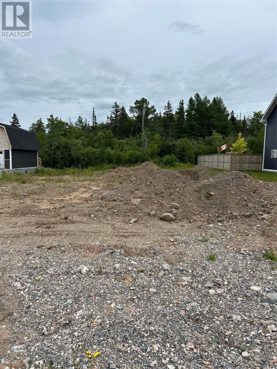 Property Photo:  39 Pike Street  NL A0L 1K0 
