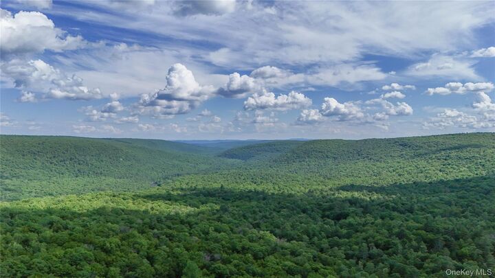 Property Photo: X Wilderness Trail NY 12777