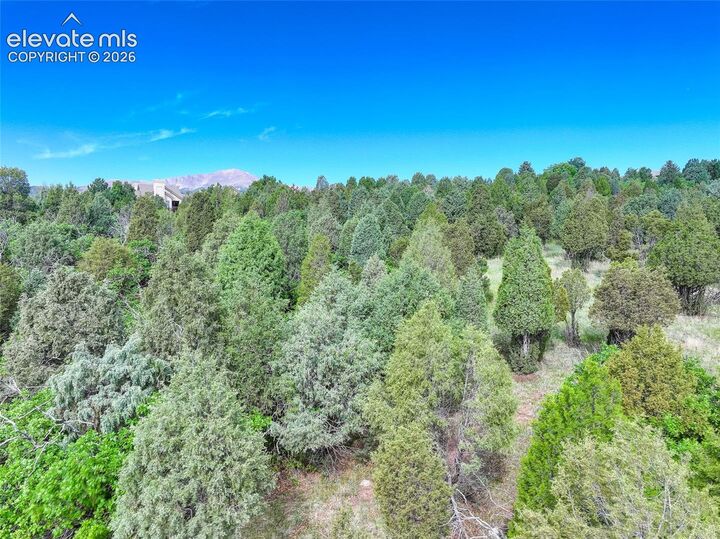 Property Photo:  3585 Twisted Oak Circle  CO 80904 