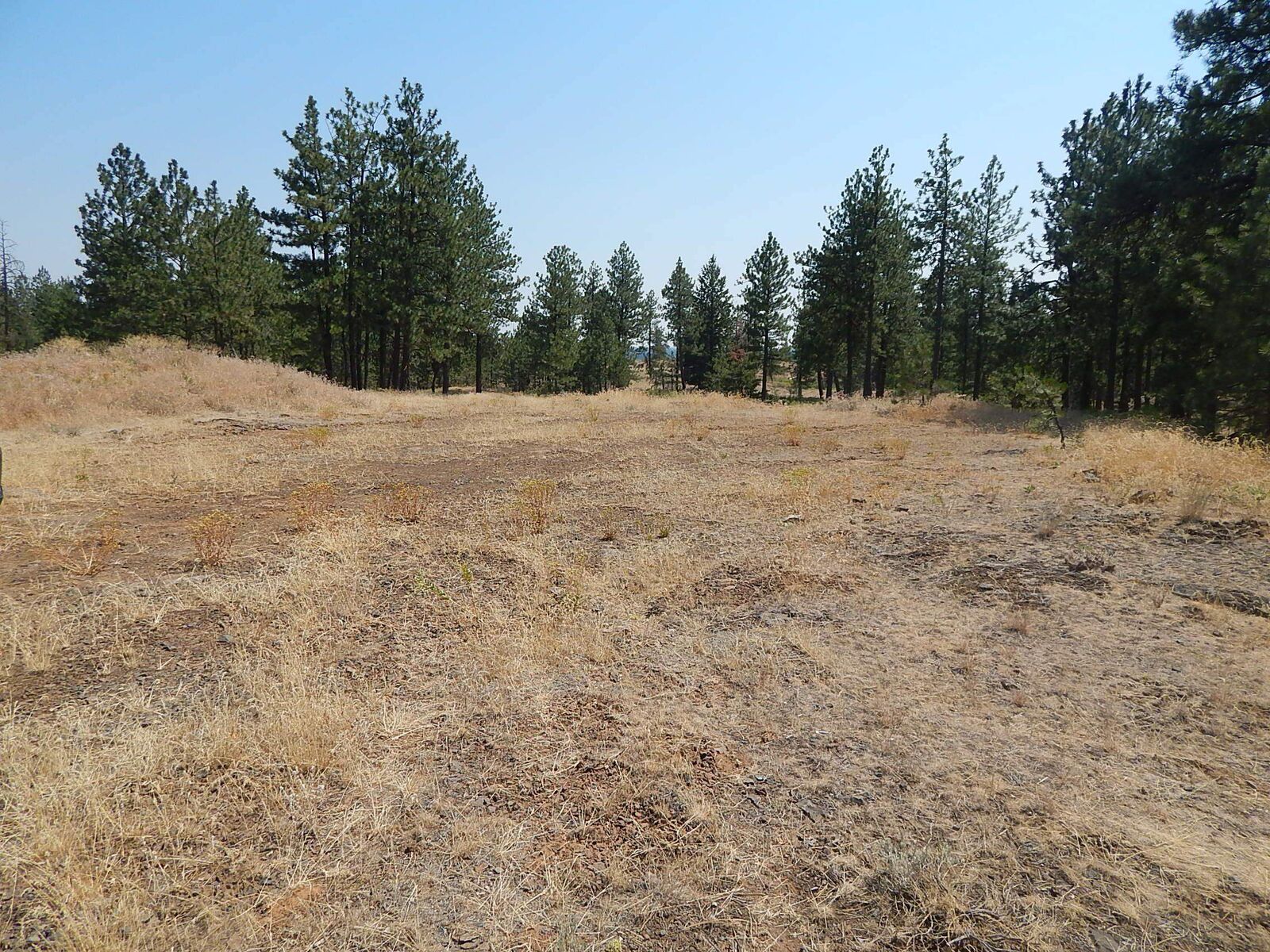 Property Photo: 249014 W Kitt Rd WA 99029