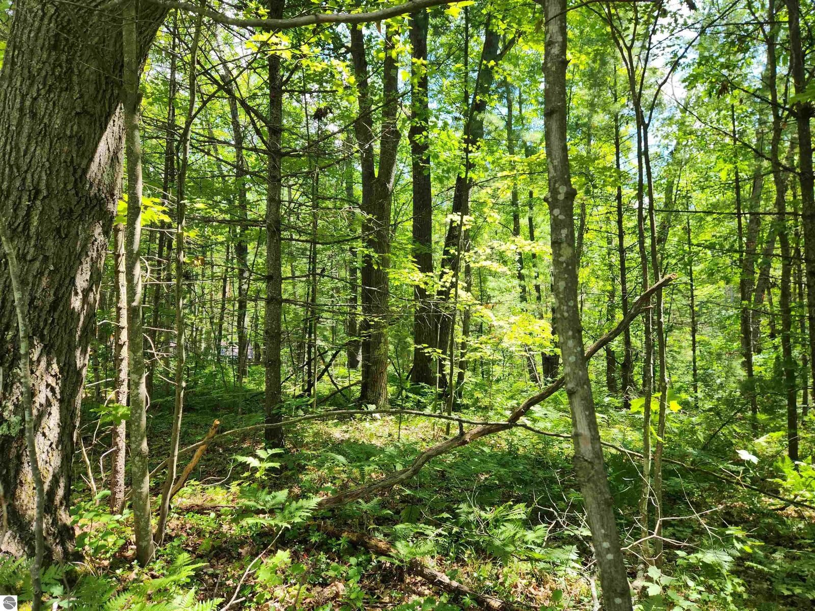 Property Photo: 000 Bradley MI 49646