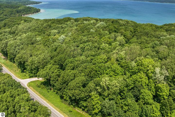Property Photo: 0 Frankfort Highway MI 49635