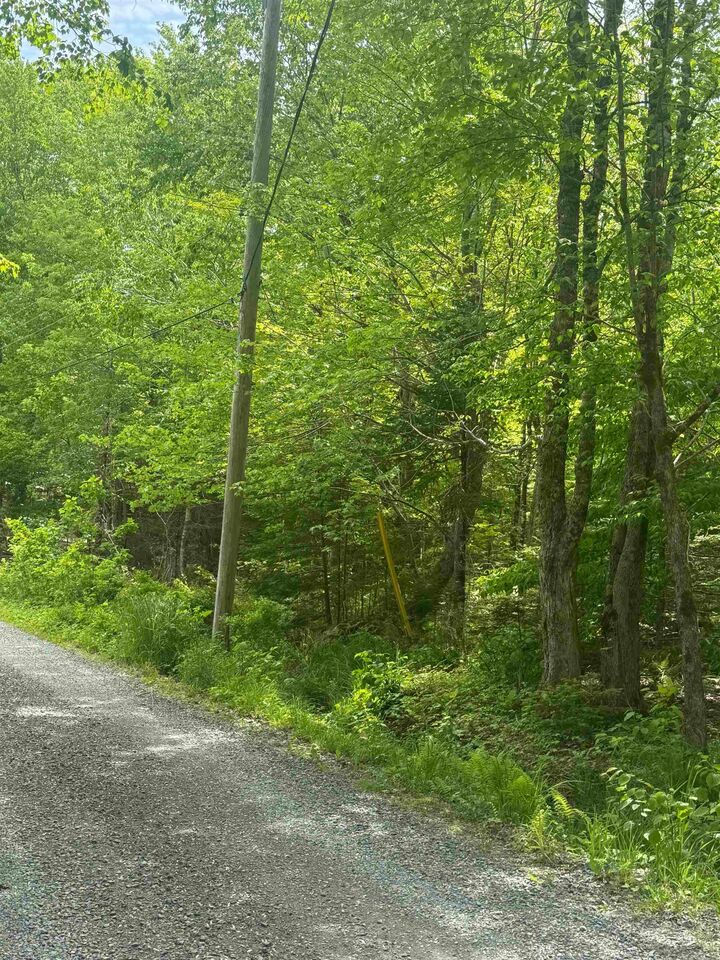 Property Photo:  Silvers Cove Road  NS B0R 1A0 
