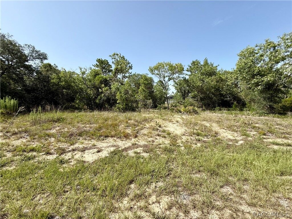 Property Photo: 3371 W Seahorse Lane FL 34433