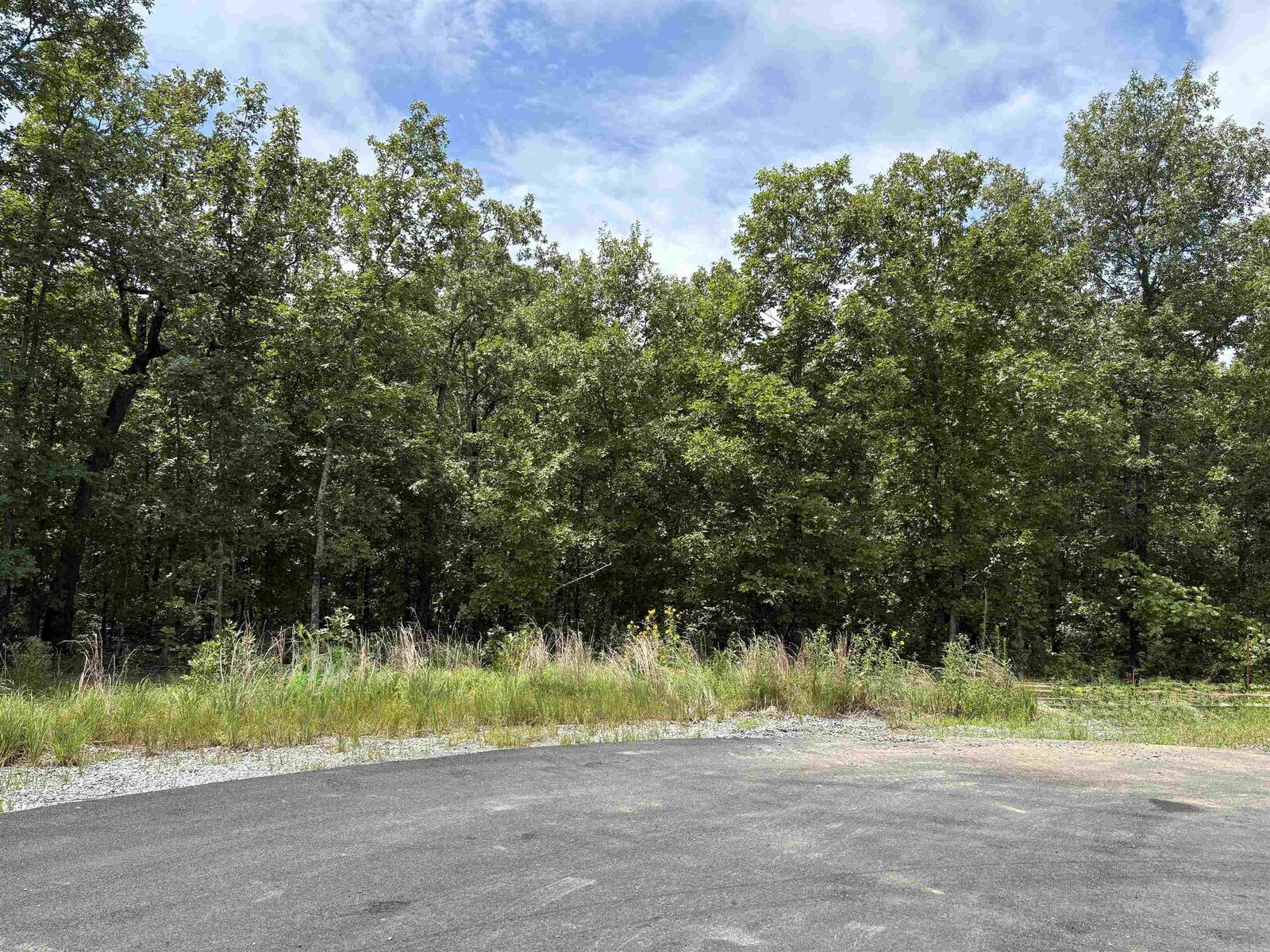 Property Photo: Rebecca Cove AR 72120