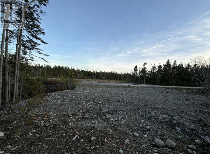 Property Photo:  13 Pine Avenue  NL A2N 3R3 