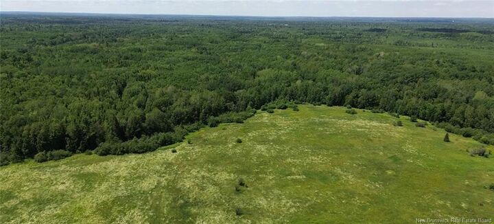 Property Photo:  114.9 Acres Little River Drive  NB E2A 6M4 
