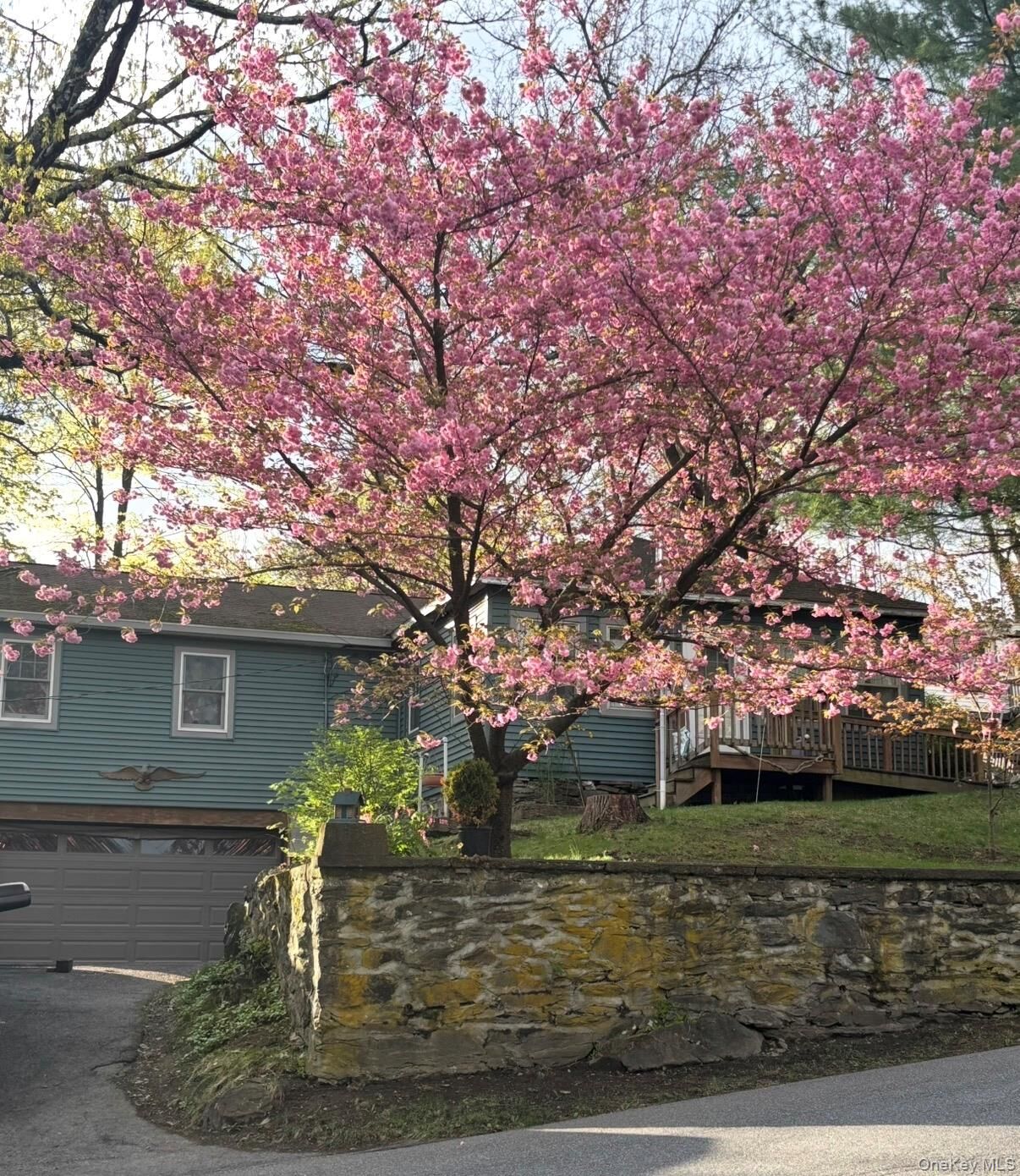 Property Photo: 29 White Street NY 12528