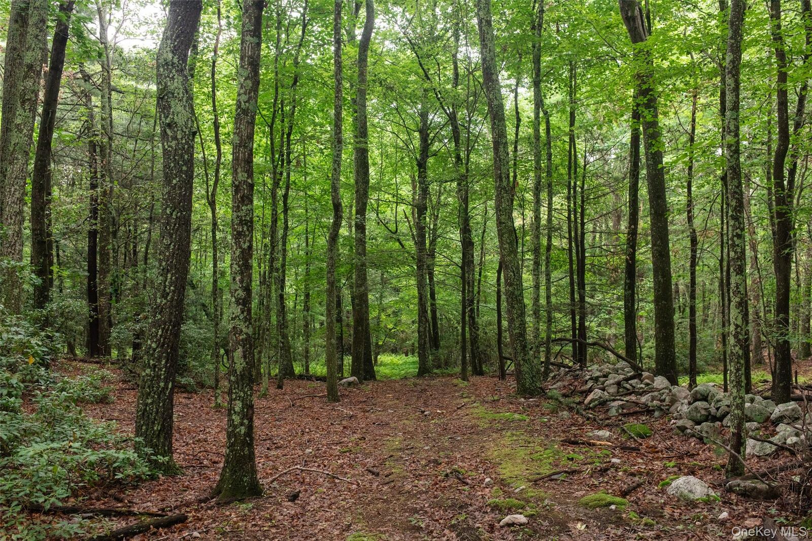 Property Photo: 3789 State Route 52 NY 12566