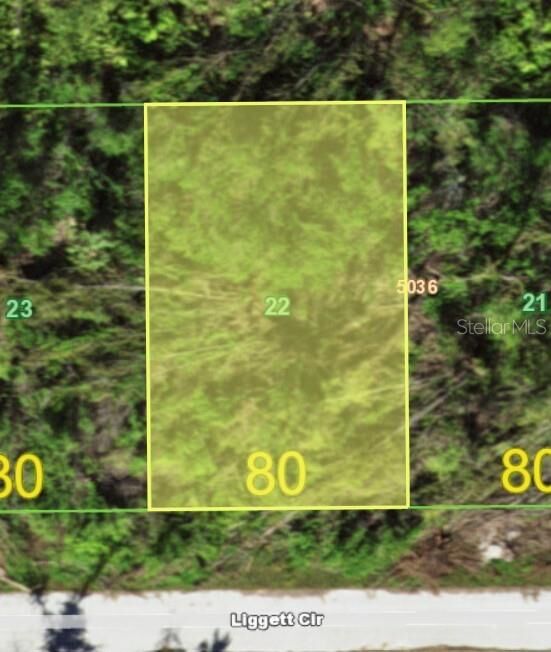 Property Photo: 16856 Liggett Circle FL 33981