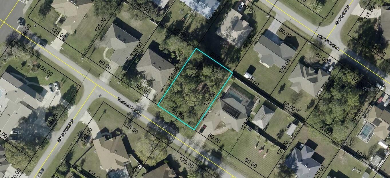 Property Photo: 138 Brushwood Lane FL 32137