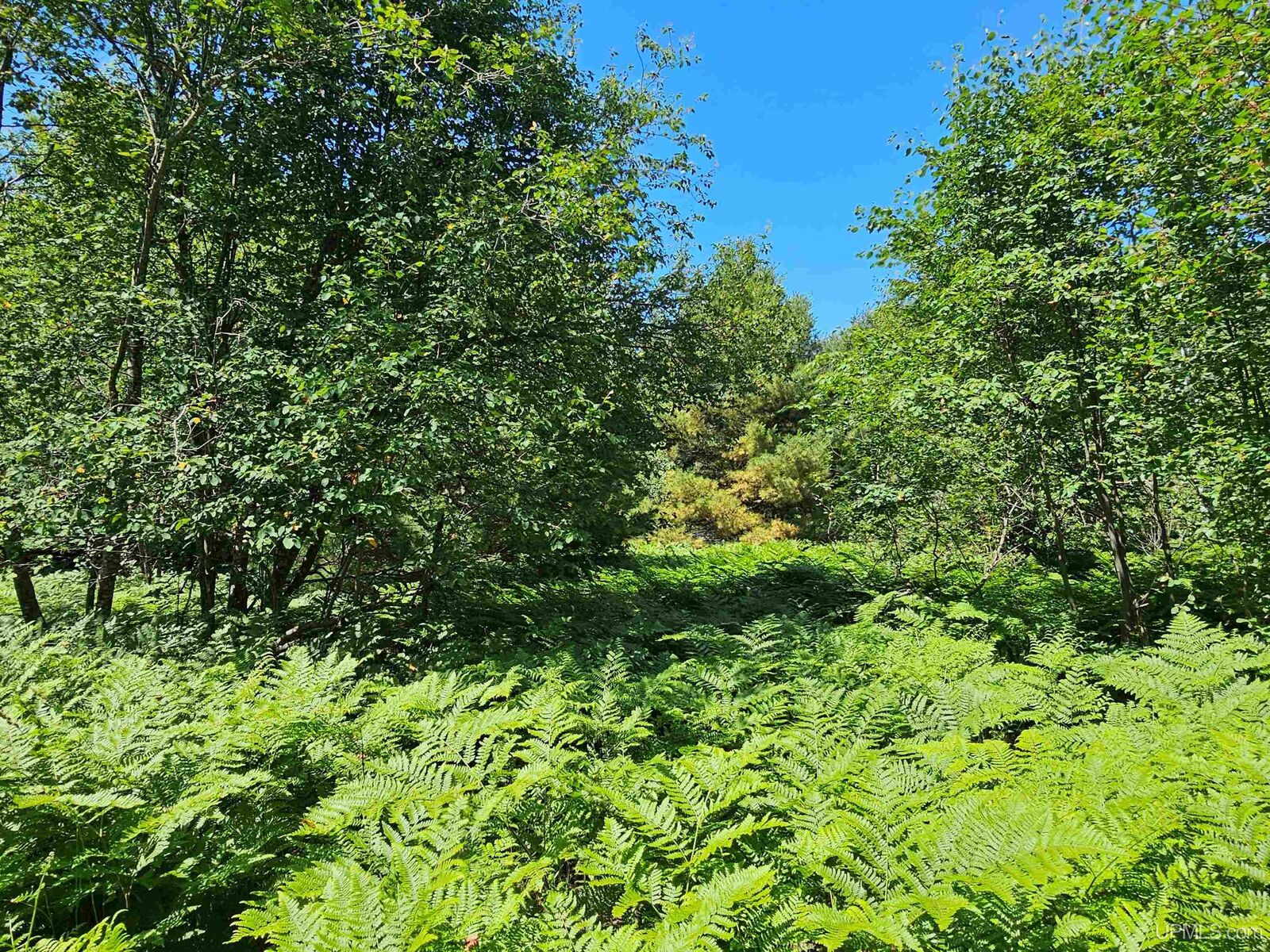 Property Photo:  Tbd Parcel M16 Applewood Drive  MI 49931 