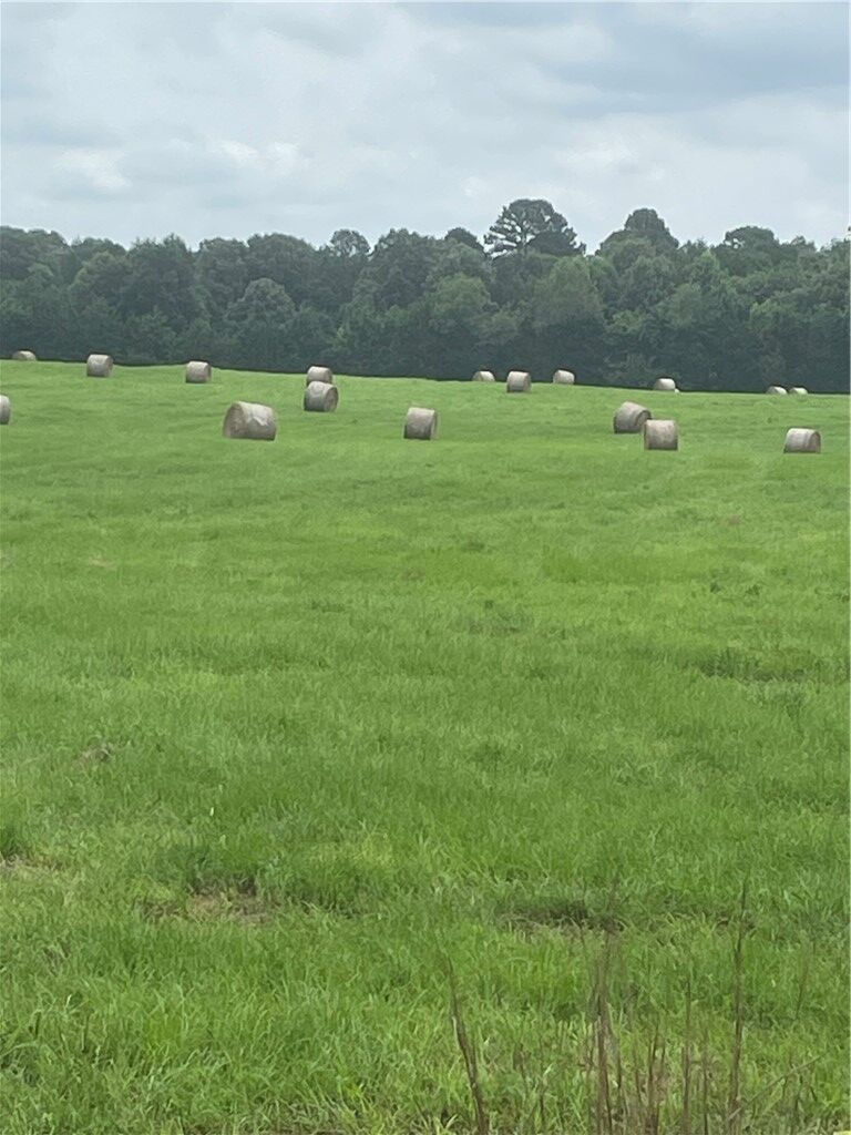 Property Photo: 40 Acres Vacant Land County Road 3411 AR 72830