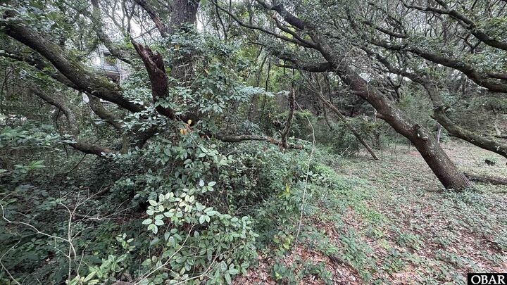Property Photo:  4338 S Hammerhead Drive  NC 27959 