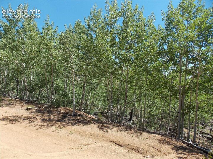 Property Photo:  615 Valley Drive  CO 80816 