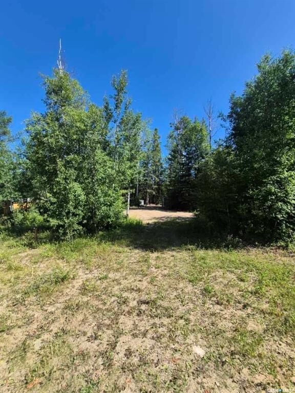Property Photo:  133 Birchwood Avenue  SK S0J 0Y0 