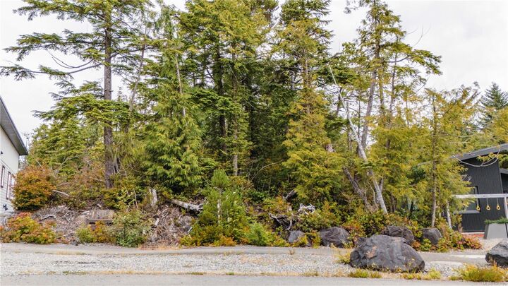 Lot 50 Cedar Grove — photo 1