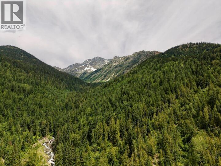 Property Photo:  Parcel A Whitewater Creek Road  BC V0G 1M0 