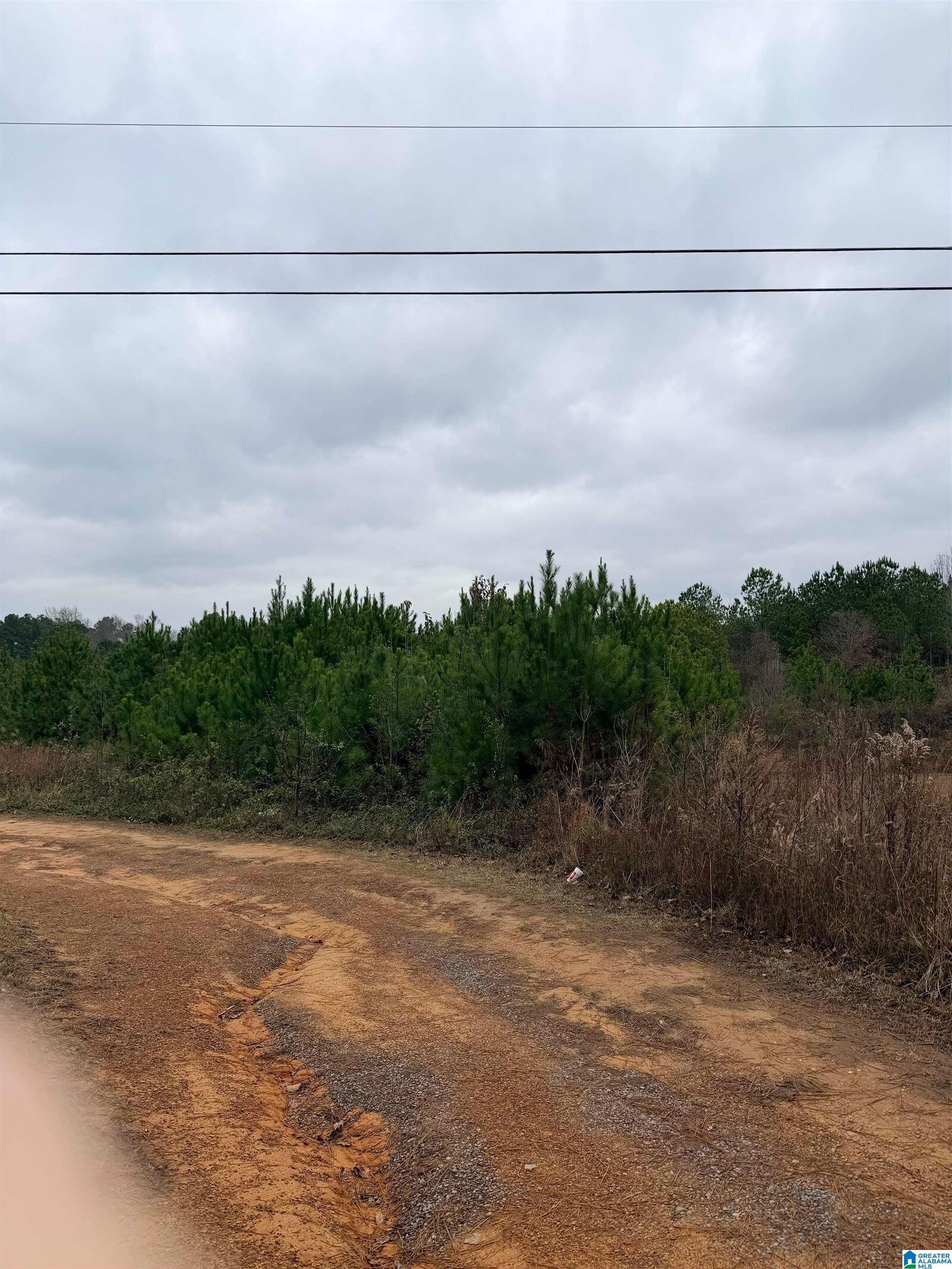 Property Photo:  Lazy Y Road 0  AL 35079 