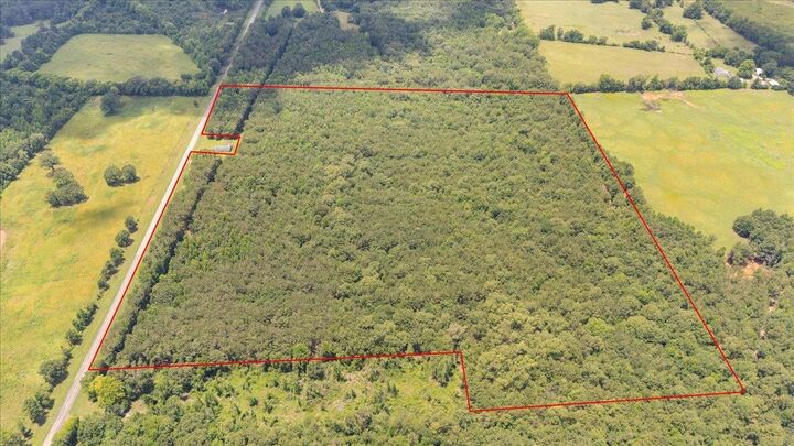 Property Photo: Tbd 50.795 Ac Fm 2496 TX 75681