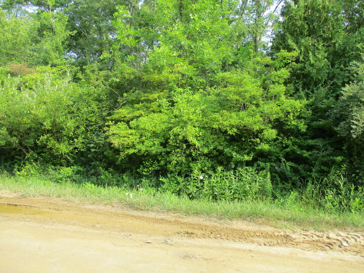 Property Photo: V/L Miami Avenue MI 49090
